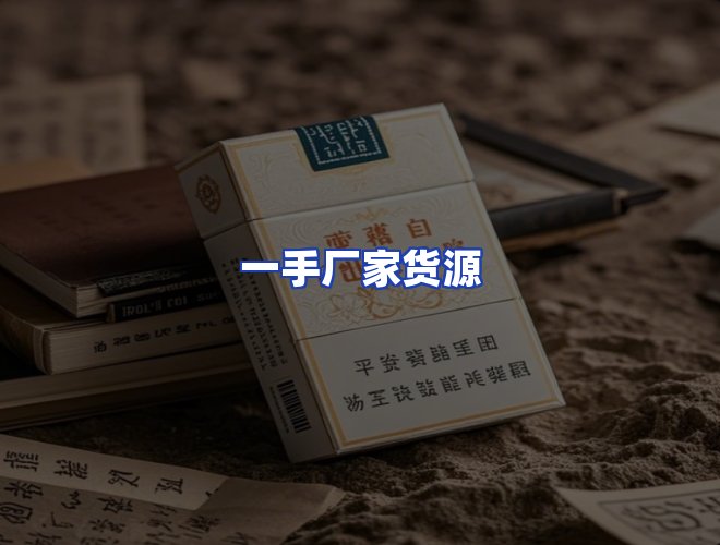 专业团队